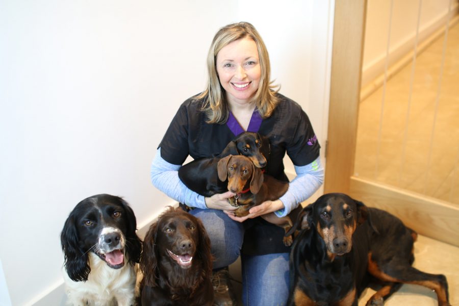 About Country Style Dog Grooming Sherborne Yeovil Dorset